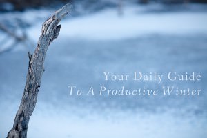 winter productivity